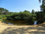 Dinkel in het Lutterzand